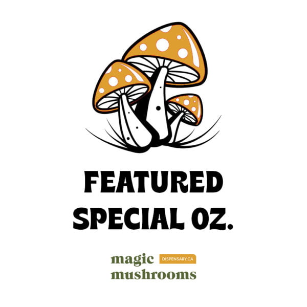 Featured Special ounce of dried magic mushrooms