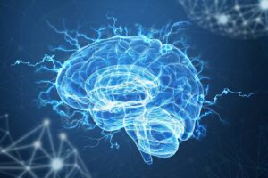 neural connections 1