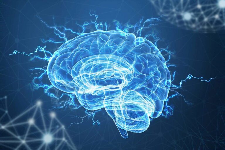 neural connections 1