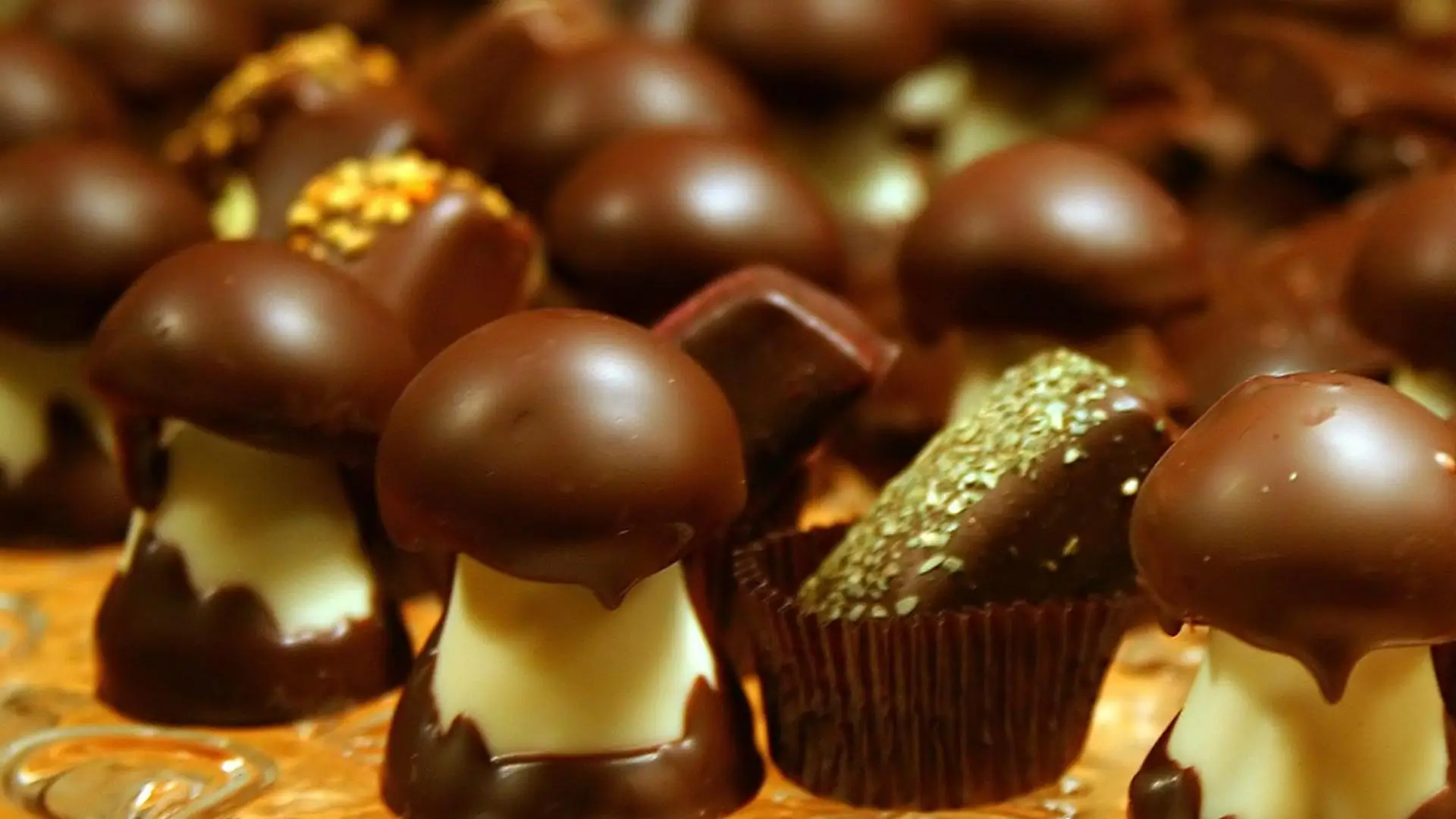 chocolate mushrooms 1 chocolate mushrooms 1