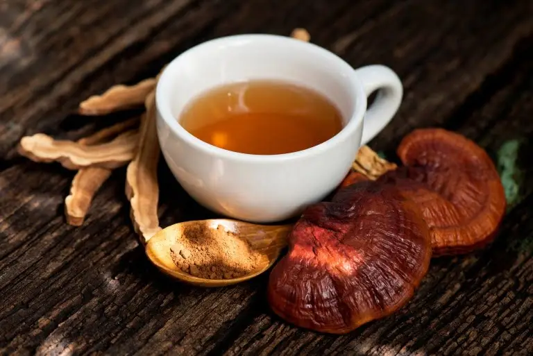 mushroom tea 1 mushroom tea 1