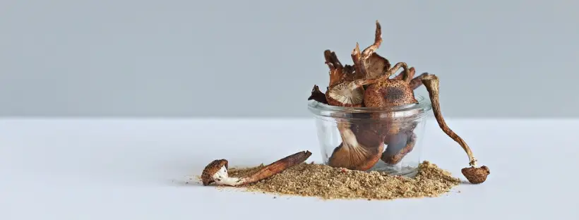 Best Dosage For Macrodosing Psilocybin Best Dosage For Macrodosing Psilocybin