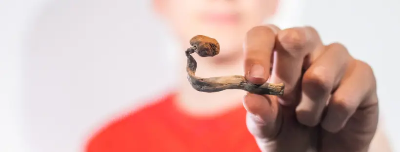 Positive Changes In Behavior And Personality