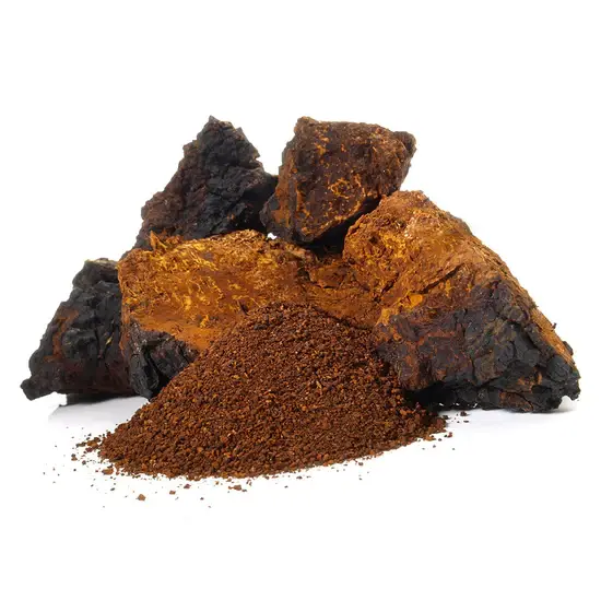 Stay Wyld Organics Chaga Mushroom Capsules Powder