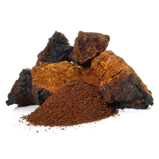 Stay Wyld Organics Reishi Mushroom Powder Ingredients.jpg
