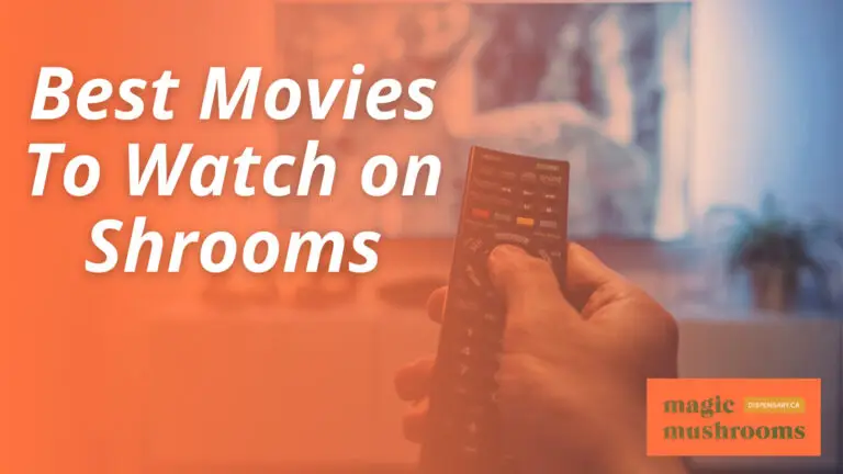 Best Movies To Watch on Shrooms (1)