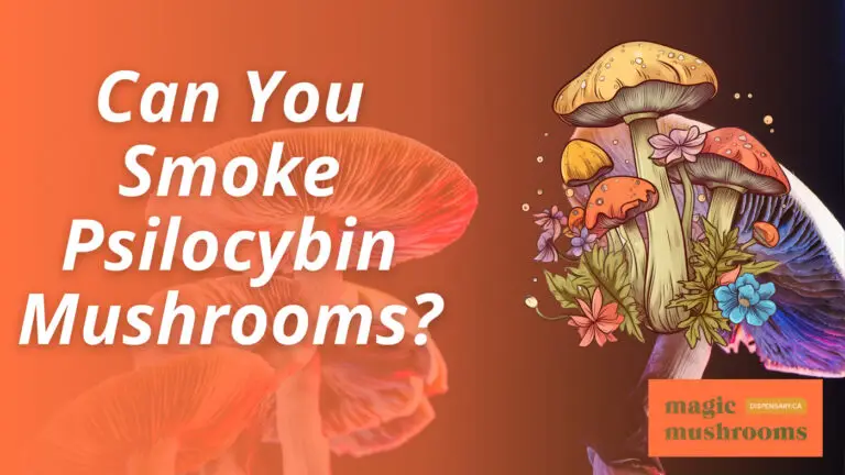 Can You Smoke Psilocybin Mushrooms