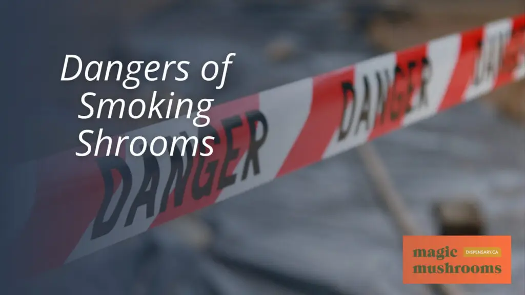 Dangers of Smoking Shrooms Dangers of Smoking Shrooms