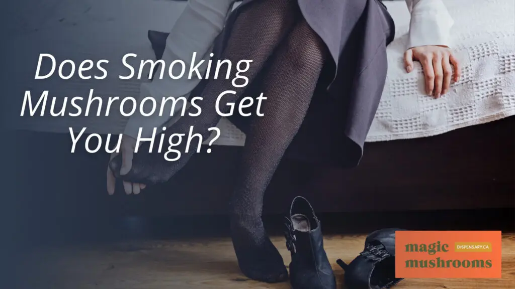 Does Smoking Mushrooms Get You High Does Smoking Mushrooms Get You High