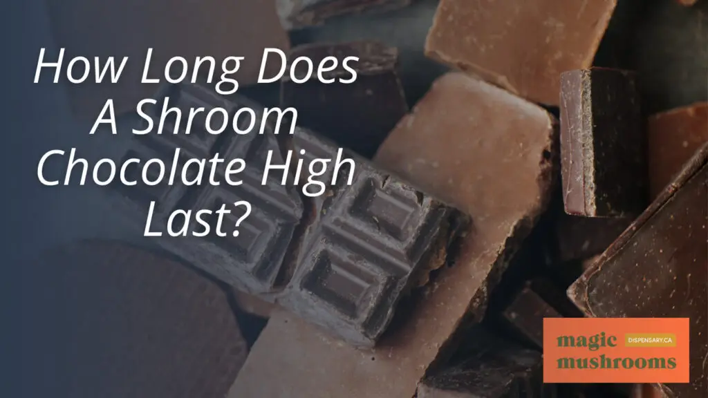 How Long Does A Shroom Chocolate High Last