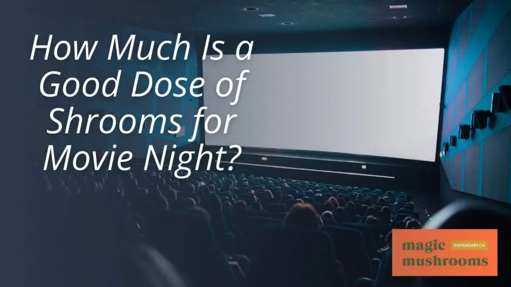 How Much Is a Good Dose of Shrooms for Movie Night How Much Is a Good Dose of Shrooms for Movie Night