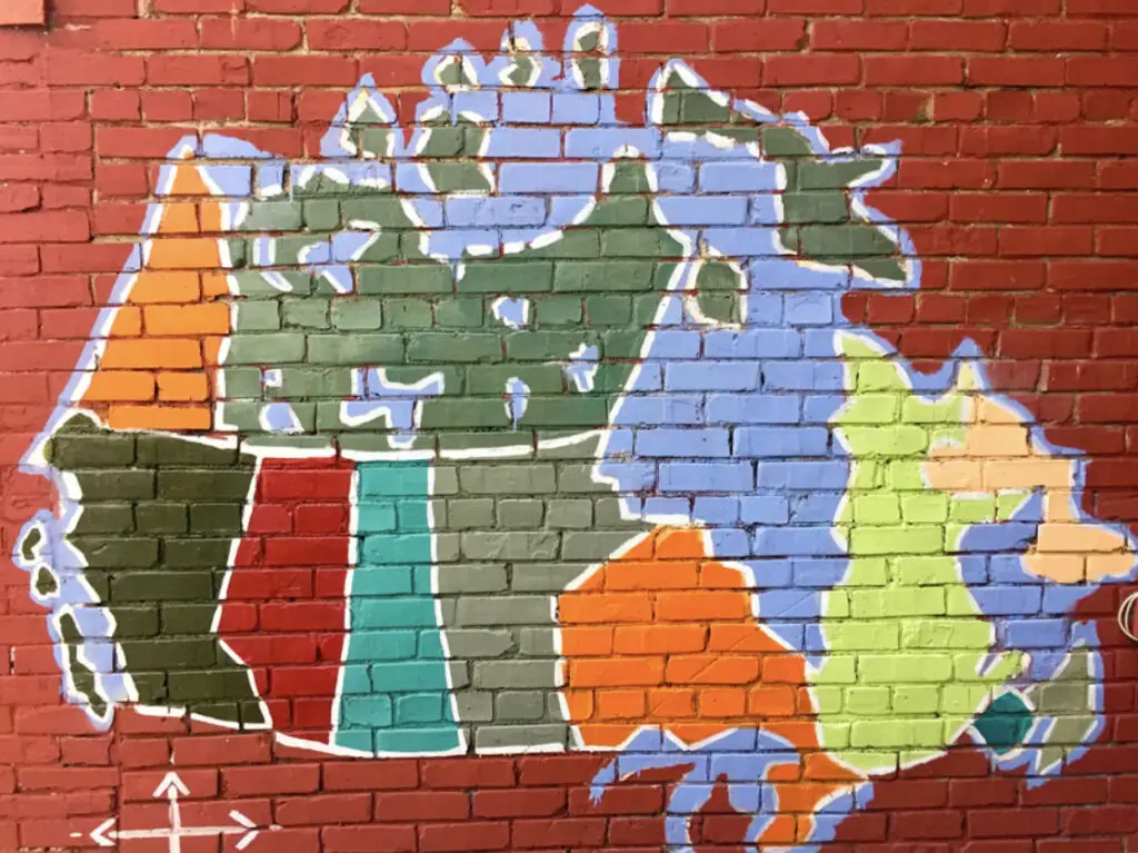 Canadian Activities to Rediscover on Shrooms