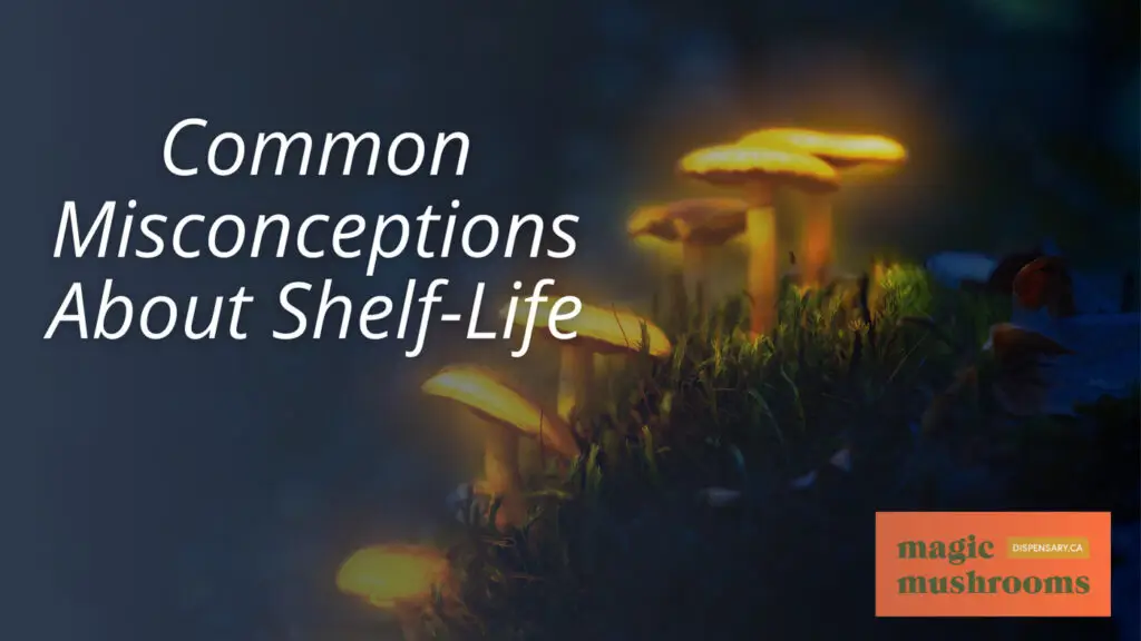 Common Misconceptions About Shelf Life Common Misconceptions About Shelf Life