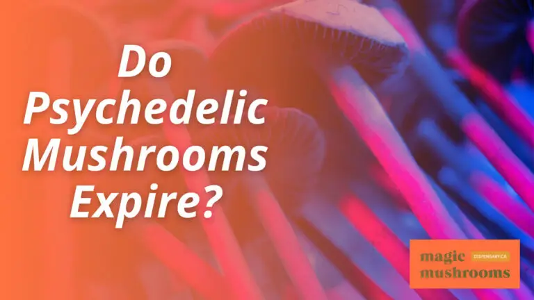 Do Psychedelic Mushrooms Expire