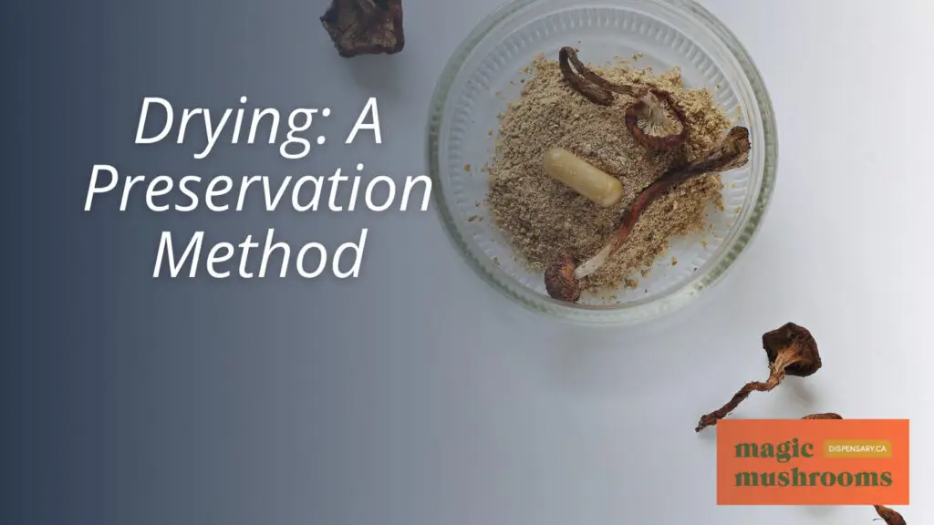 Drying A Preservation Method Drying A Preservation Method