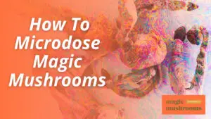 How To Microdose Magic Mushrooms