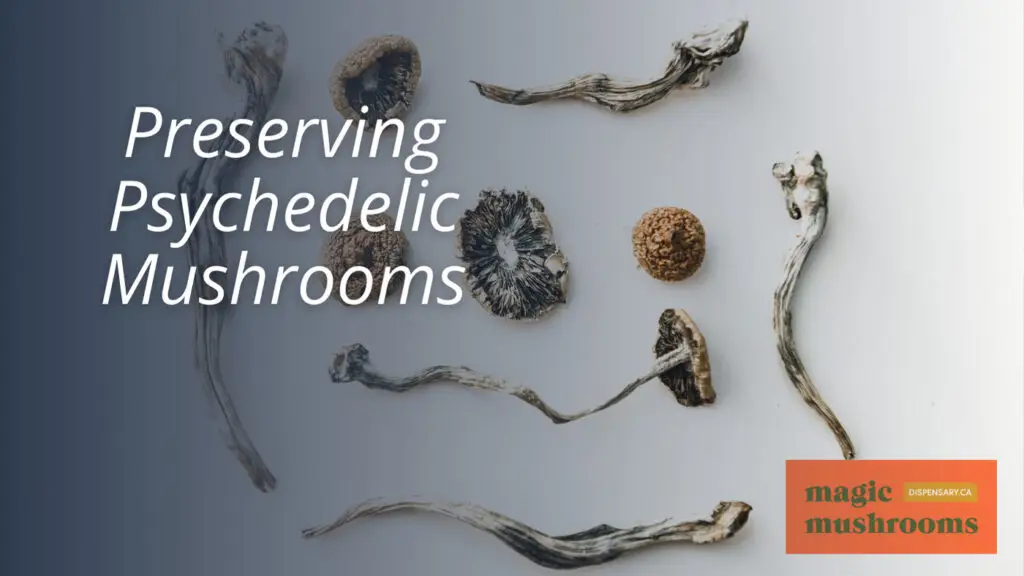 Preserving Psychedelic Mushrooms Preserving Psychedelic Mushrooms