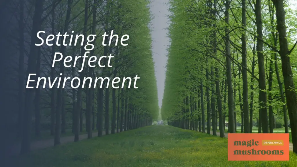 Setting the Perfect Environment Setting the Perfect Environment