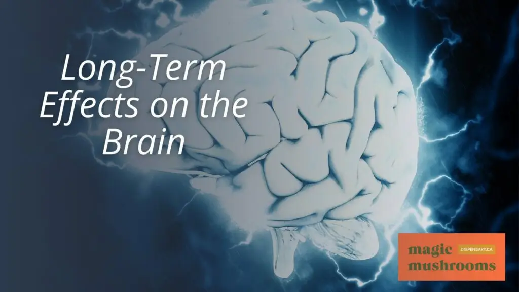 Long Term Effects on the Brain Long Term Effects on the Brain