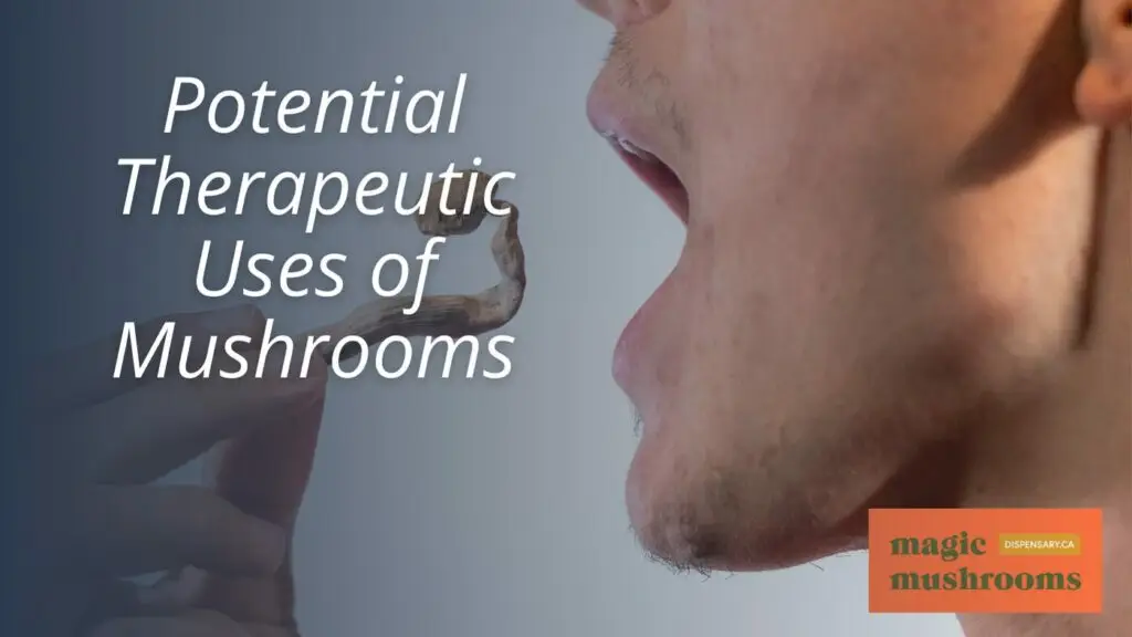 Potential Therapeutic Uses of Mushrooms Potential Therapeutic Uses of Mushrooms