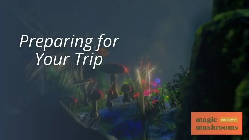 Preparing for Your Trip Preparing for Your Trip