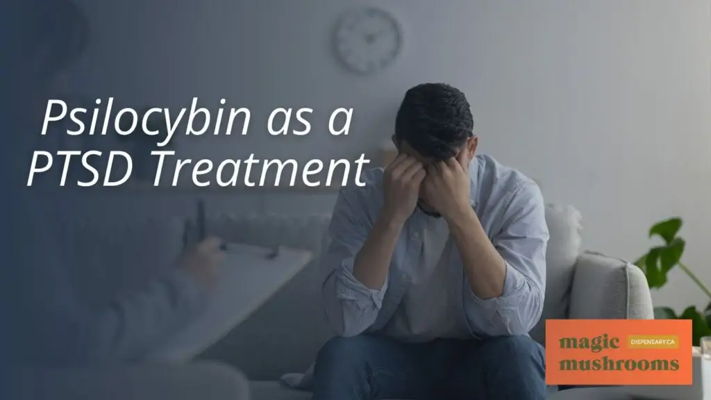 Psilocybin as a PTSD Treatment Psilocybin as a PTSD Treatment