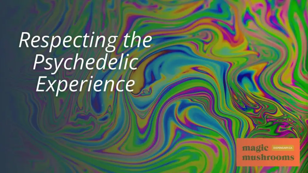 Respecting the Psychedelic Experience Respecting the Psychedelic Experience