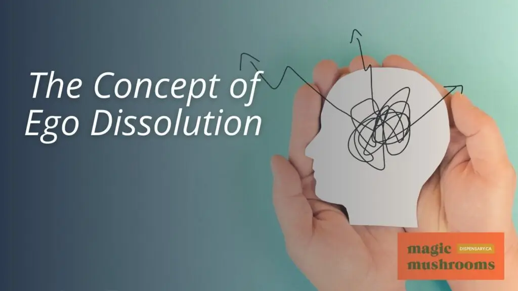 The Concept of Ego Dissolution The Concept of Ego Dissolution