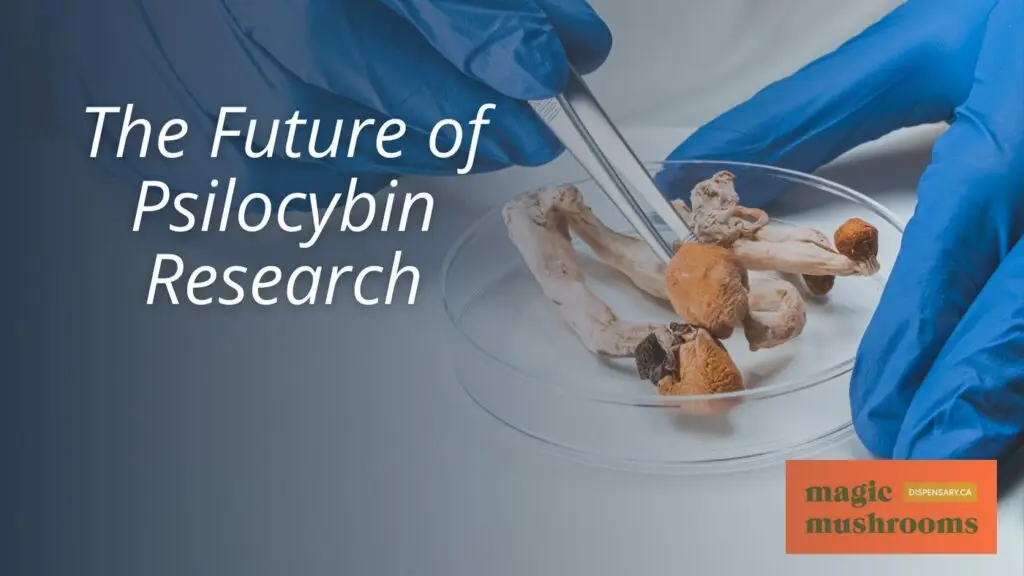 The Future of Psilocybin Research The Future of Psilocybin Research