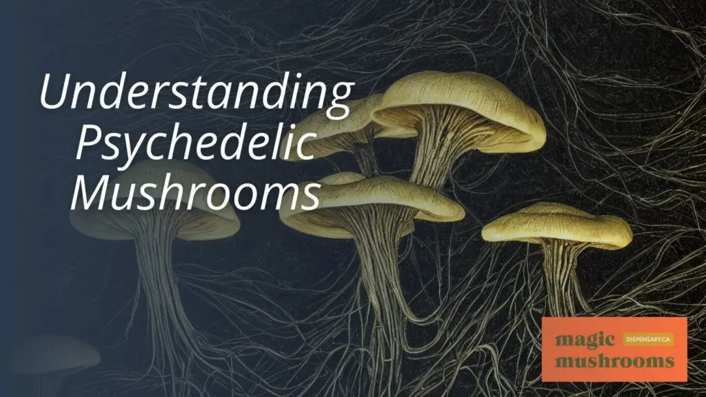 Understanding Psychedelic Mushrooms (2) Understanding Psychedelic Mushrooms (2)