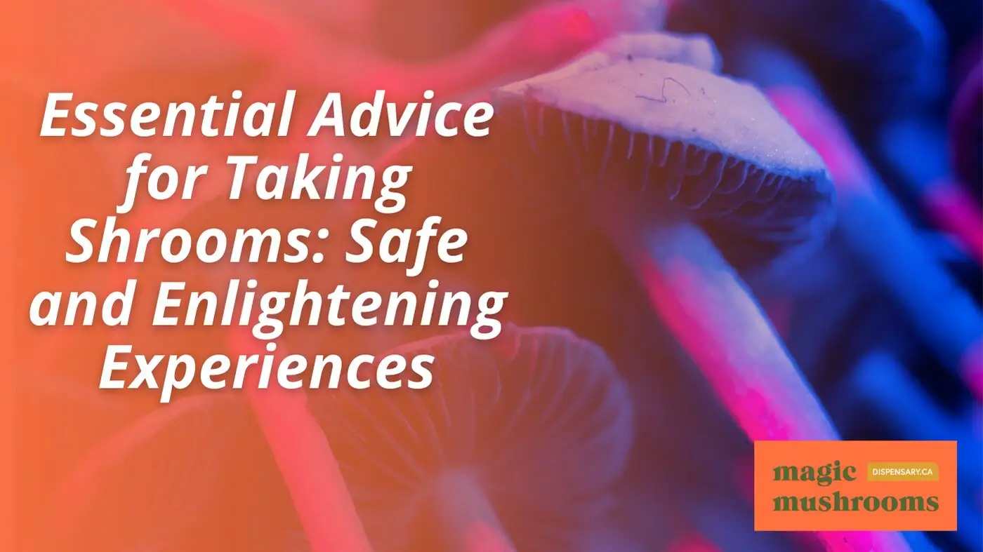 Advice for Taking Shrooms