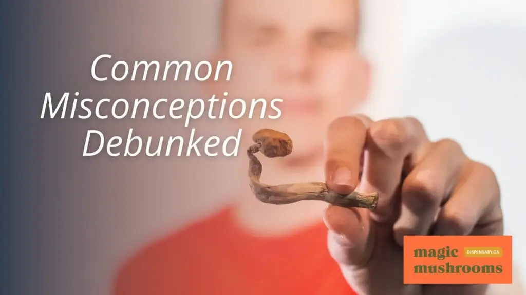Common Misconceptions Debunked