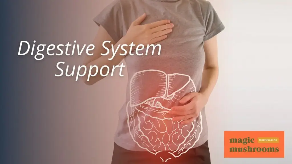 Digestive System Support