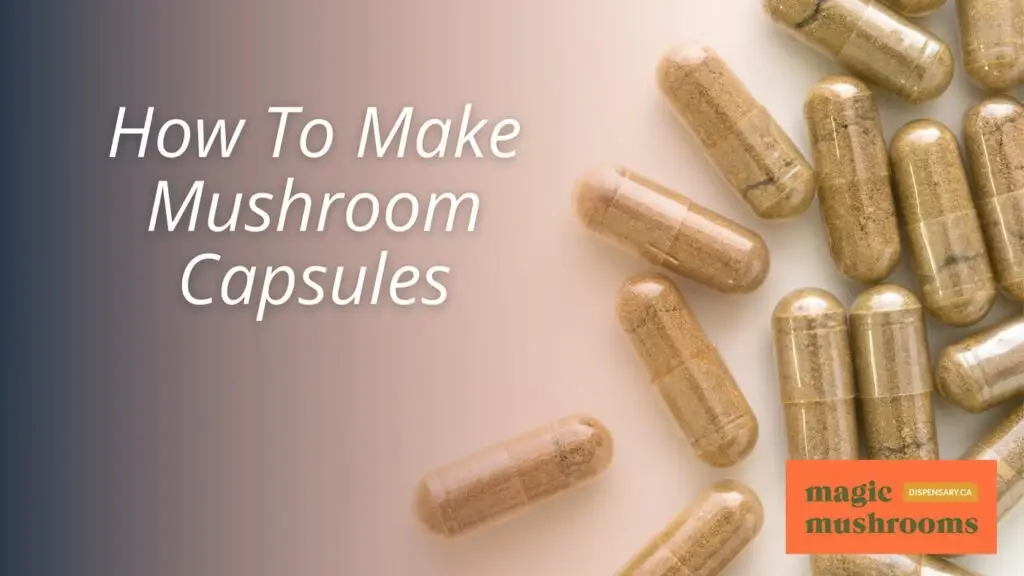 How To Make Mushroom Capsules How To Make Mushroom Capsules