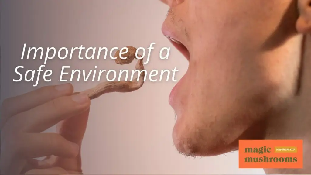 Importance of a Safe Environment