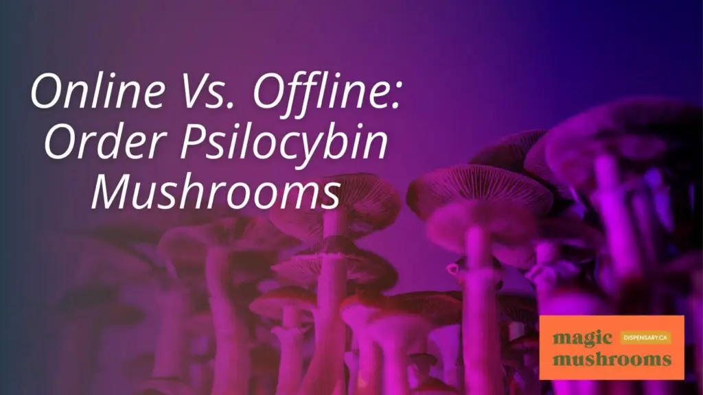 Online Vs. Offline Order Psilocybin Mushrooms Online Vs. Offline Order Psilocybin Mushrooms