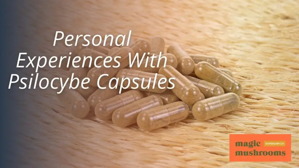 Personal Experiences With Psilocybe Capsules Personal Experiences With Psilocybe Capsules