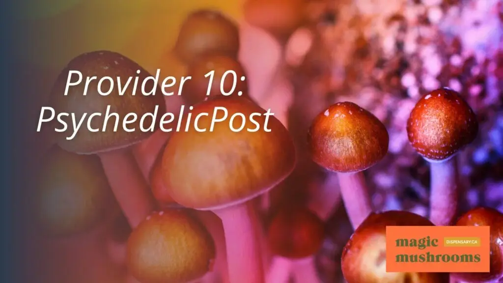 Provider 10 PsychedelicPost