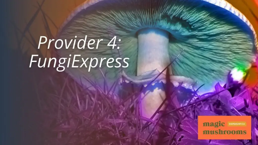 Provider 4 FungiExpress