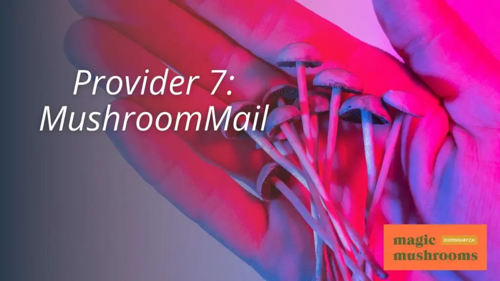 Provider 7 MushroomMail