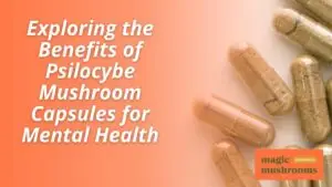 Psilocybe Mushroom Capsules