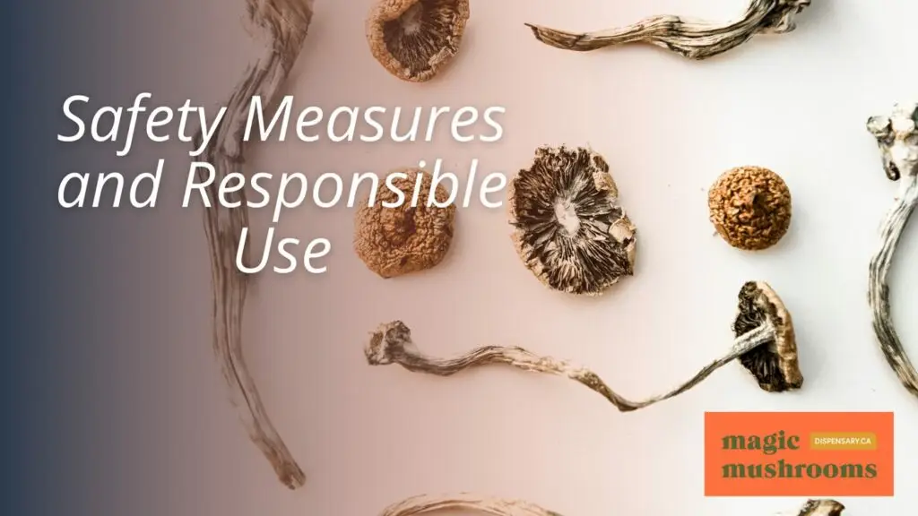 Safety Measures and Responsible Use