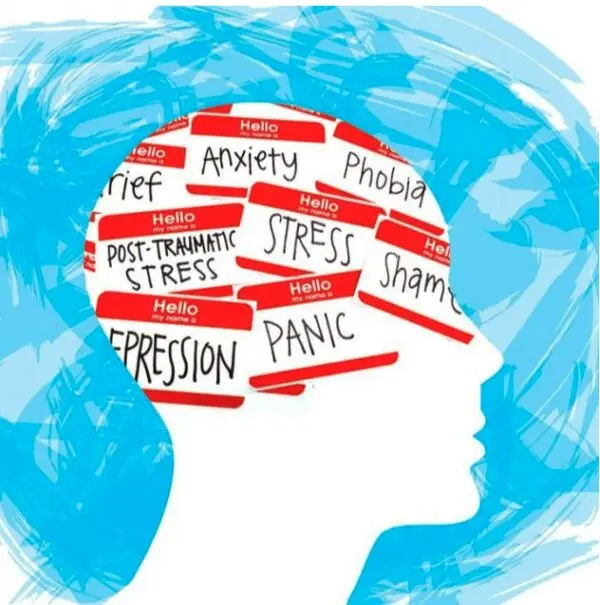 Shroom Strains for Mental Health