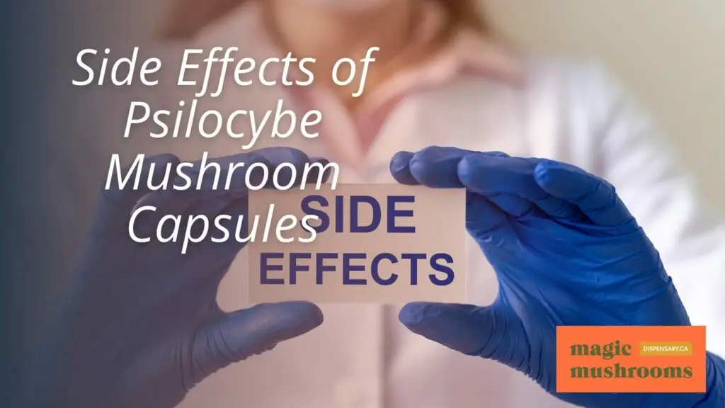 Side Effects of Psilocybe Mushroom Capsules Side Effects of Psilocybe Mushroom Capsules