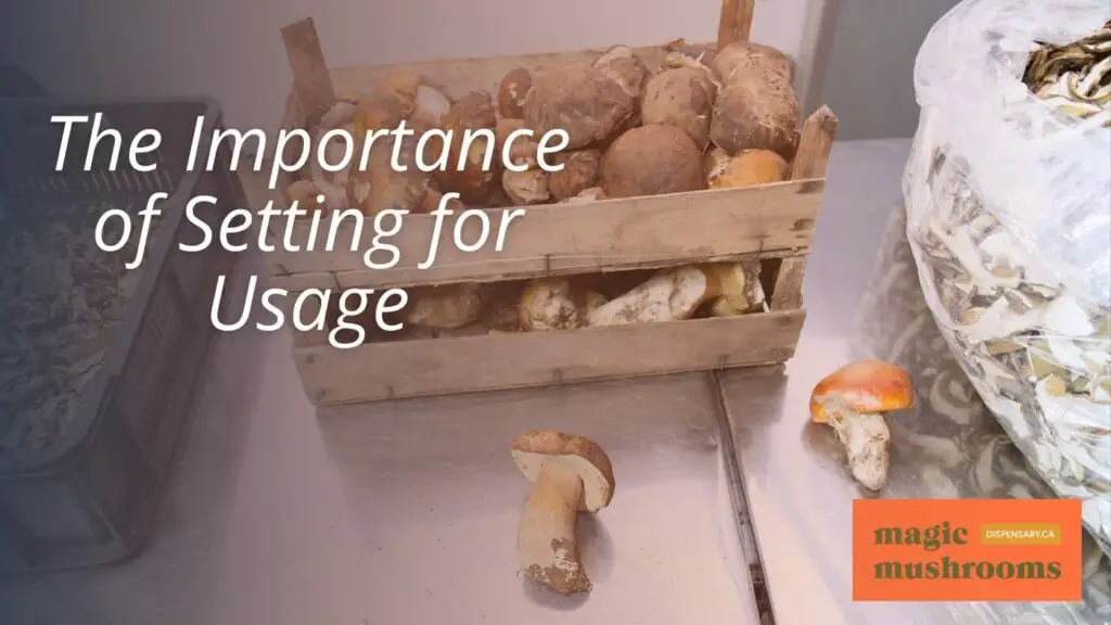 The Importance of Setting for Usage