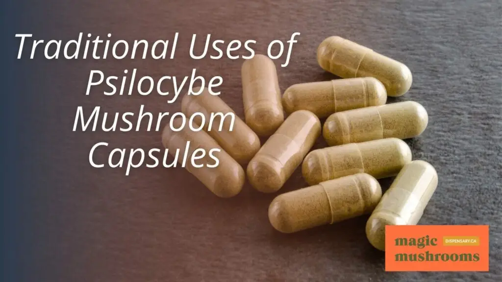 Traditional Uses of Psilocybe Mushroom Capsules Traditional Uses of Psilocybe Mushroom Capsules