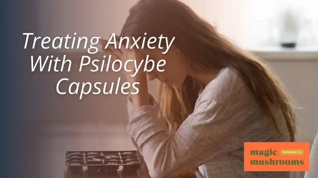 Treating Anxiety With Psilocybe Capsules Treating Anxiety With Psilocybe Capsules