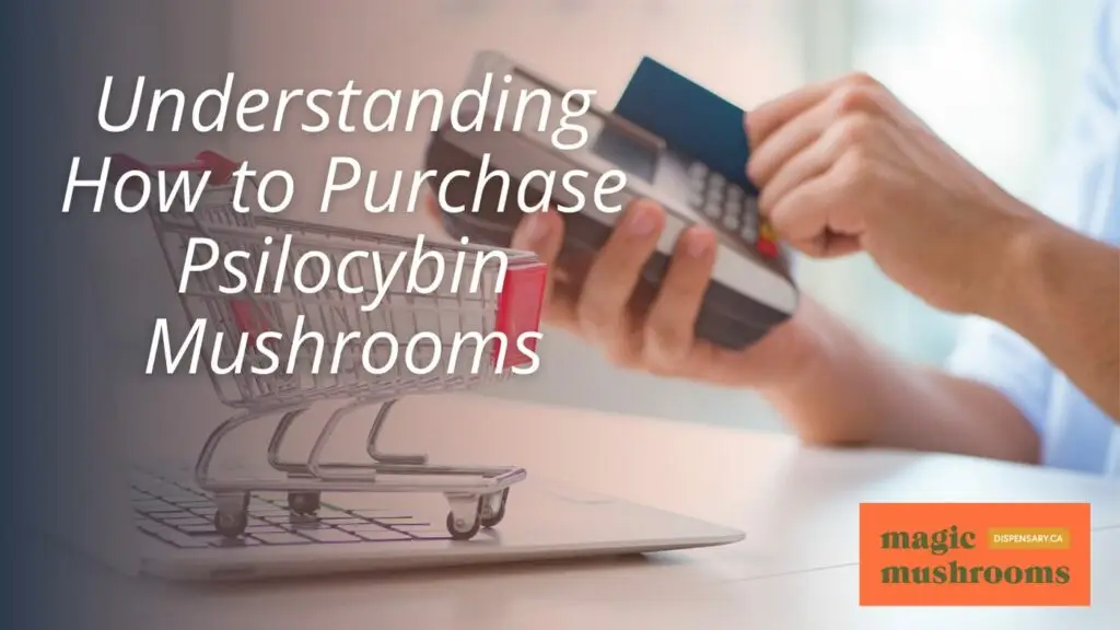 Understanding How to Purchase Psilocybin Mushrooms Understanding How to Purchase Psilocybin Mushrooms