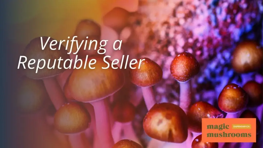 Verifying a Reputable Seller Verifying a Reputable Seller