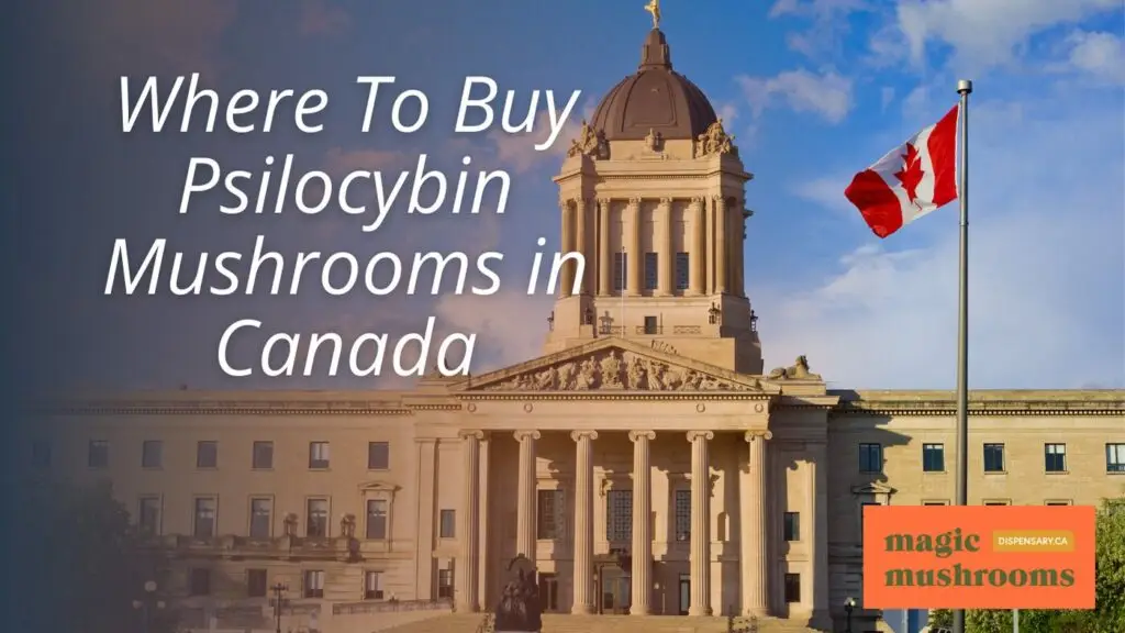 Where To Buy Psilocybin Mushrooms in Canada Where To Buy Psilocybin Mushrooms in Canada